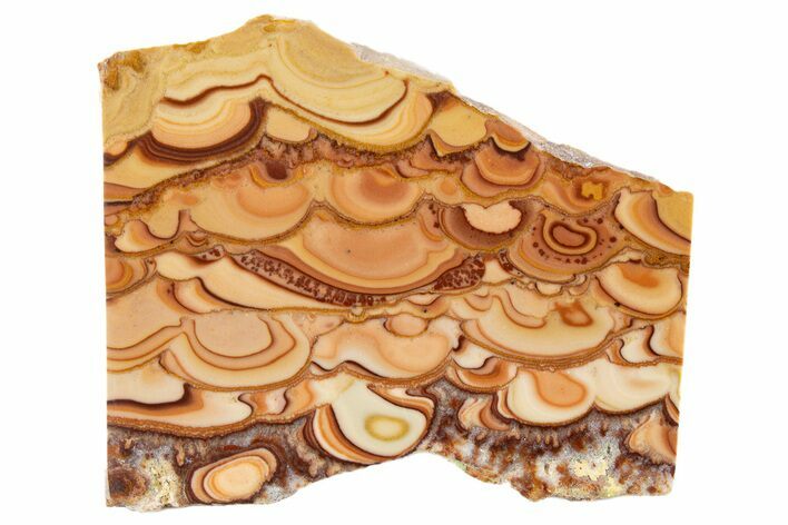 Polished Slab Of Rolling Hills Dolomite - Mexico #324424